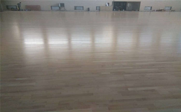 籃球場木地板生蟲了怎么辦？
