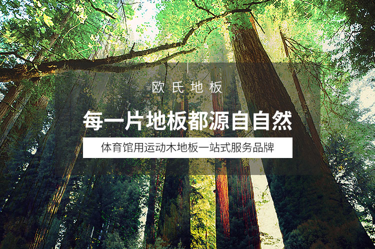 體育場運(yùn)動木地板廠家報價