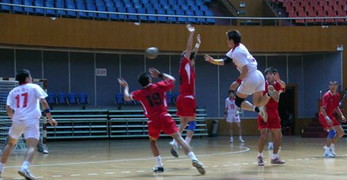 手球地板，手球館運動木地板