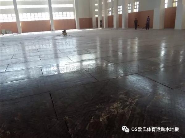 溫州甌海區外國語學校初中分校運動木地板案例